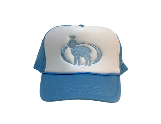 BLUE SPIRIT TRUCKER HAT